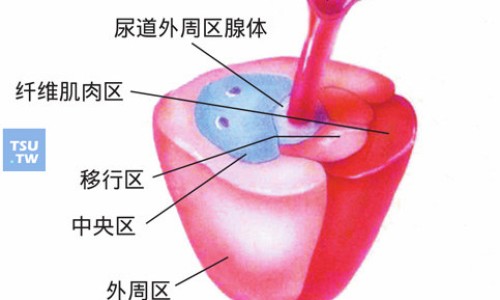 人工牛黄甲硝唑胶囊药店网-分享人工牛黄甲硝唑胶囊药店卖多少钱一盒，人工牛黄甲硝唑胶囊药店可以卖吗知识库