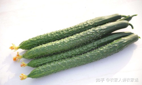 人工牛黄甲硝唑胶囊药店能买到吗-人工牛黄甲硝唑胶囊药店网-分享人工牛黄甲硝唑胶囊药店卖多少钱一盒，人工牛黄甲硝唑胶囊药店可以卖吗知识库